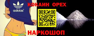 стаф Будённовск