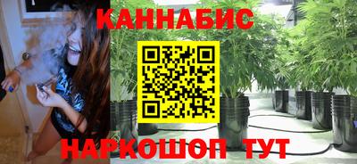 стаф Будённовск