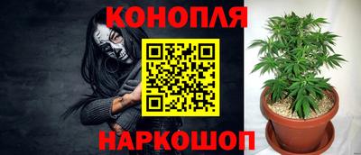 стаф Будённовск